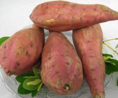 Hachis Parmentier de Patate douce