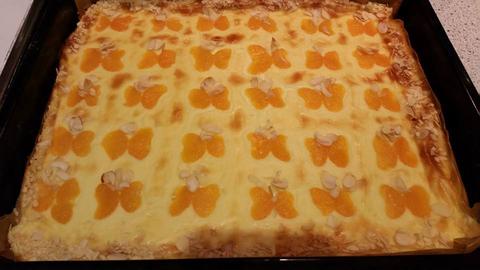 Mandarinen - Schmand Kuchen vom Blech