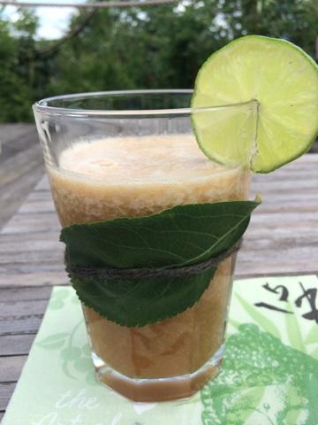 Frucht Shake (laktosefrei)