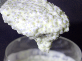 Coconut Chia Pudding