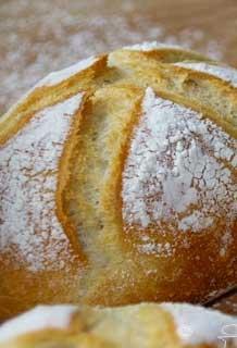 Spelt Bread Rolls