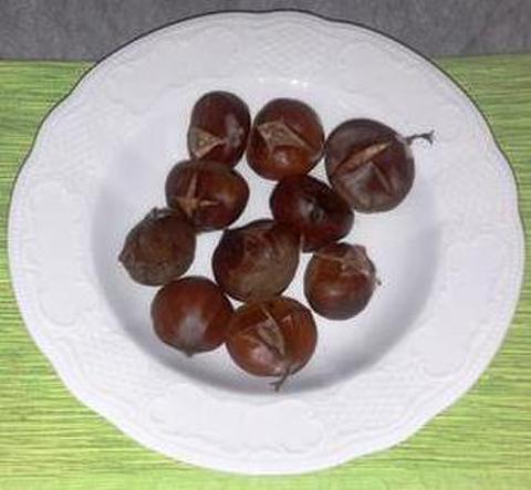 Hot Chestnuts