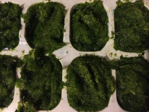 Green curry paste