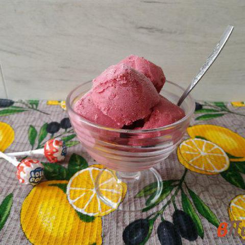 Berry ice cream by Elmira