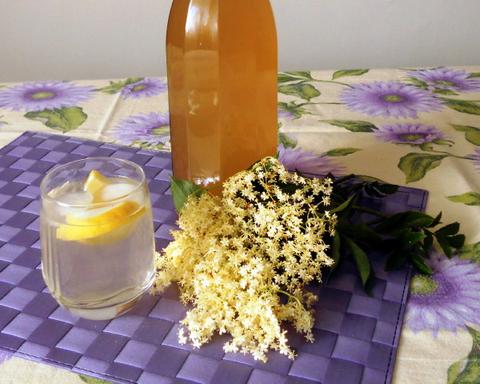 Elder Flower Syrup