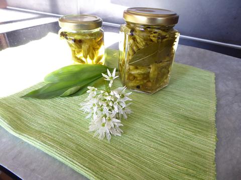 Wild garlic buds