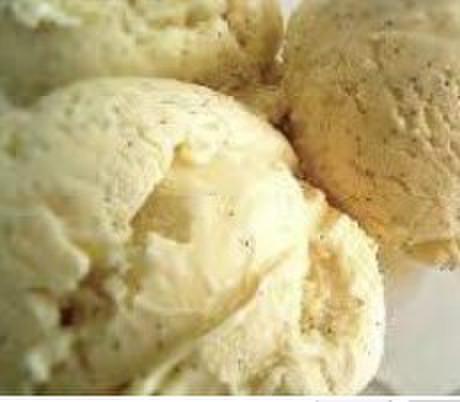 Vanilla Bean Ice Cream