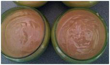 CRÈME DESSERT AU CHOCOLAT FAÇON DANETTE