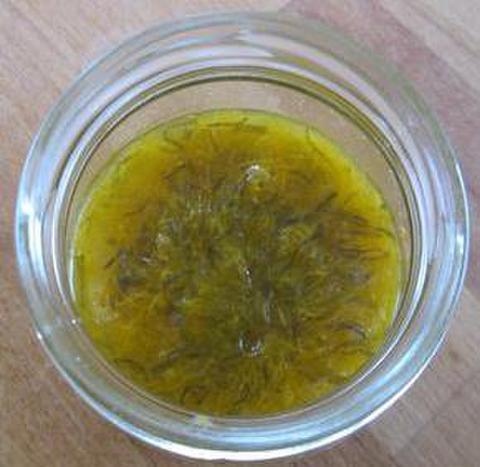 Dandelion-Mango Honey
