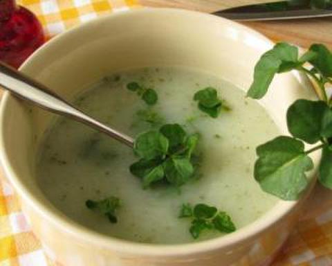 Michèle's gourmet watercress soup