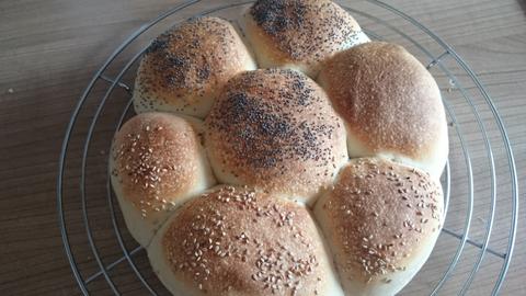 Morning Grouch (Buns)