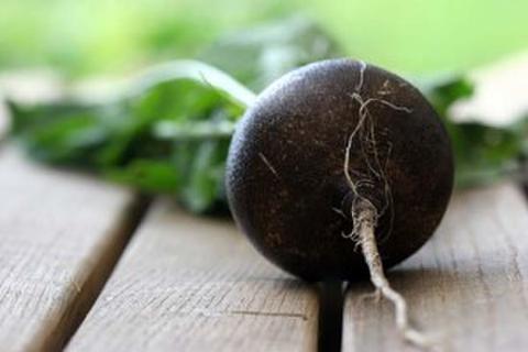 black radish mask