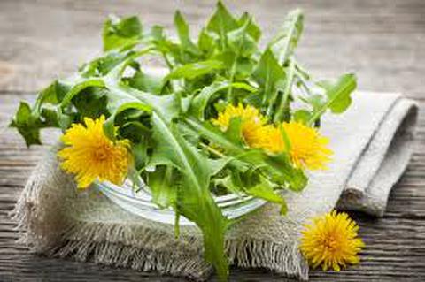 Dandelion leaf spring mask